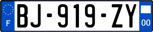 BJ-919-ZY