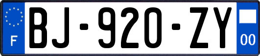 BJ-920-ZY