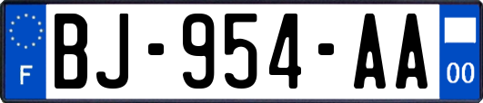 BJ-954-AA