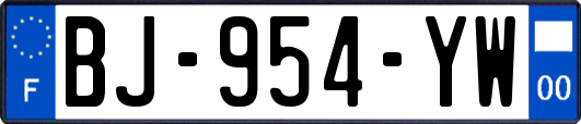 BJ-954-YW