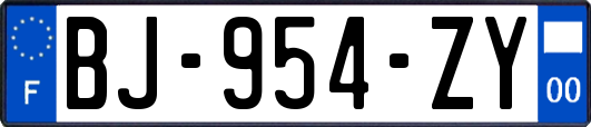BJ-954-ZY