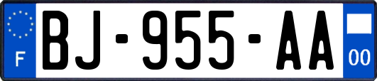 BJ-955-AA