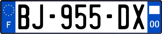 BJ-955-DX