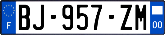 BJ-957-ZM