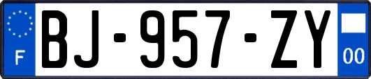 BJ-957-ZY