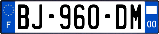 BJ-960-DM