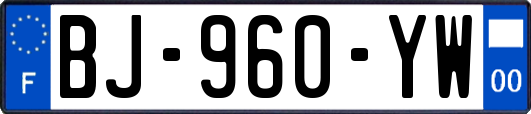 BJ-960-YW