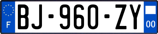 BJ-960-ZY