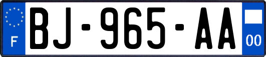 BJ-965-AA