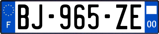 BJ-965-ZE