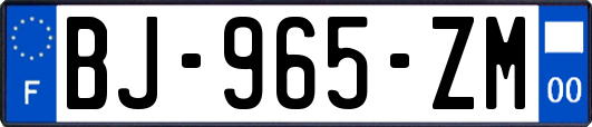 BJ-965-ZM
