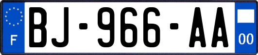 BJ-966-AA