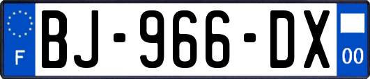 BJ-966-DX