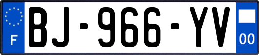BJ-966-YV