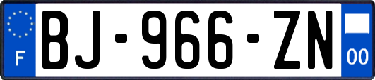 BJ-966-ZN