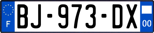 BJ-973-DX