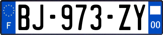 BJ-973-ZY