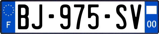 BJ-975-SV