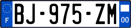 BJ-975-ZM