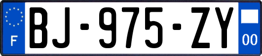 BJ-975-ZY
