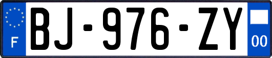 BJ-976-ZY