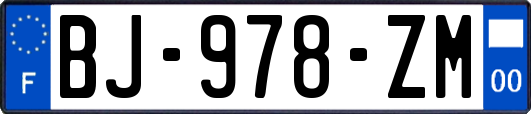 BJ-978-ZM