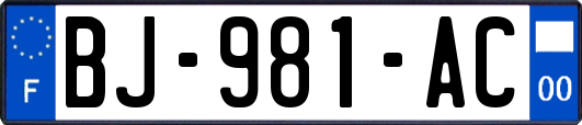 BJ-981-AC