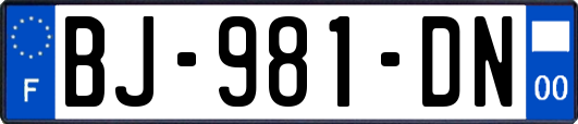 BJ-981-DN