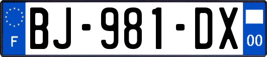 BJ-981-DX