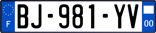 BJ-981-YV