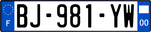 BJ-981-YW