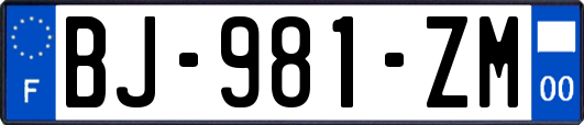 BJ-981-ZM