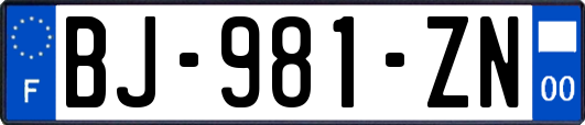 BJ-981-ZN
