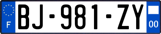 BJ-981-ZY