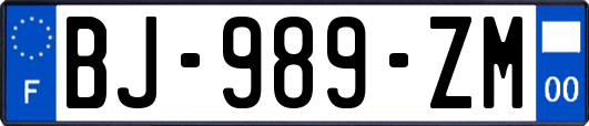 BJ-989-ZM