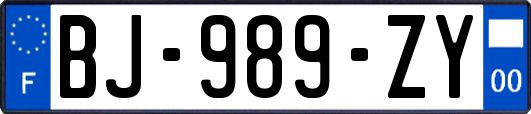 BJ-989-ZY