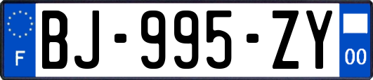 BJ-995-ZY