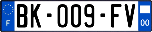 BK-009-FV