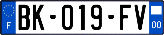 BK-019-FV