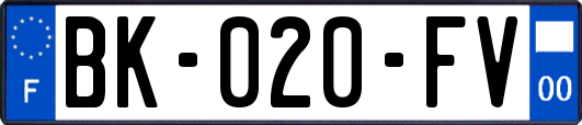 BK-020-FV