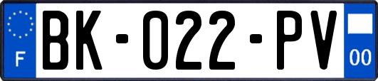 BK-022-PV