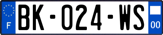 BK-024-WS