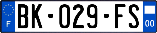 BK-029-FS