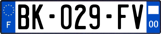 BK-029-FV