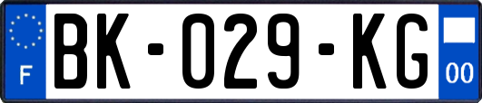 BK-029-KG