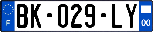 BK-029-LY