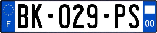 BK-029-PS