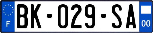 BK-029-SA