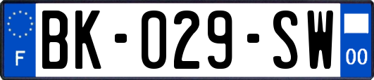 BK-029-SW