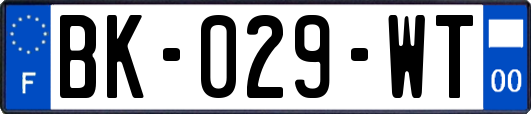 BK-029-WT